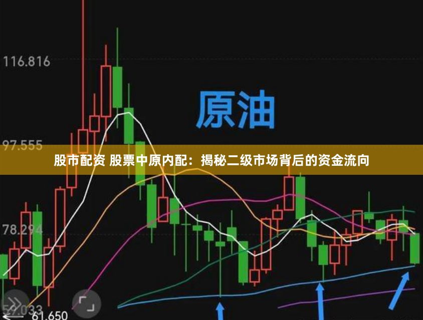 股市配资 股票中原内配：揭秘二级市场背后的资金流向